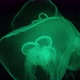 Beautiful jellyfish swims slowly in dark water - VideoHive Item for Sale