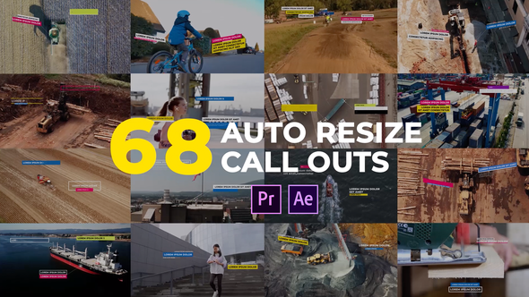 Auto Resizing Call-Outs l MOGRT for Premiere Pro