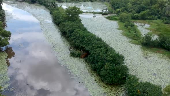 Beautiful aerial shot of backwater river in Asia,Small boat cruise,Thick mangrove forest,Water way