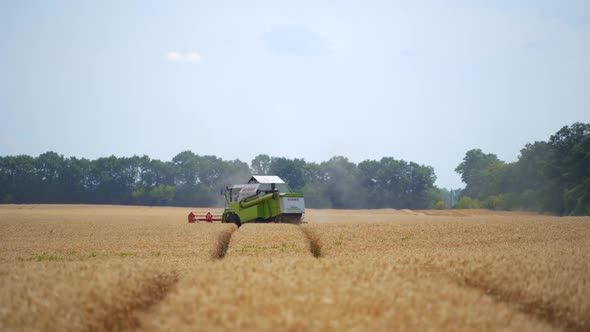 Harvesting of field with combine. Combine harvesters working on wheat field