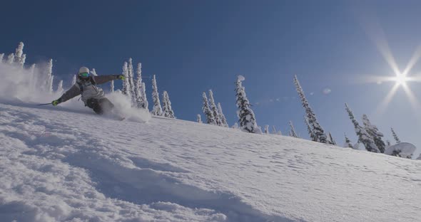 Downhill Skier- Morning Fresh Powder