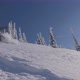 Downhill Skier- Morning Fresh Powder - VideoHive Item for Sale