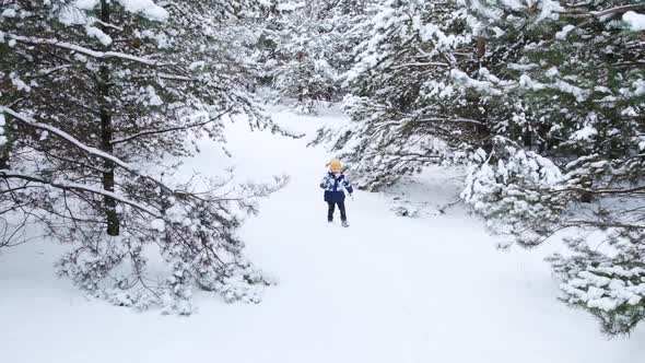 A child plays in a snowy winter park. Little boy in the fairy ice forest. Walk in the winter forest.