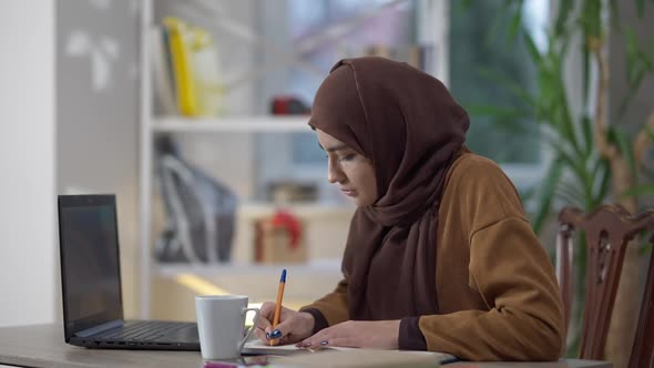 Concentrated Confident Busy Woman Writing with Pen Analyzing Emarket on Laptop