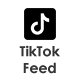 TikTok Feed - WordPress Plugin - CodeCanyon Item for Sale