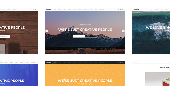 Spacia - One Page Parallax Template