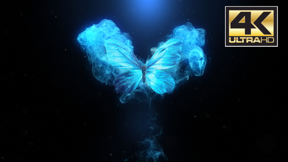 Flying Butterfly Logo Reveal 4k alt