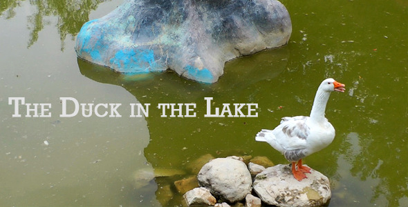 The Duck In The Lake