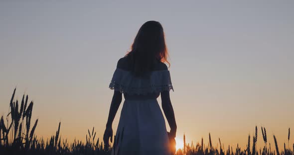 Sunset in a Wheat Field