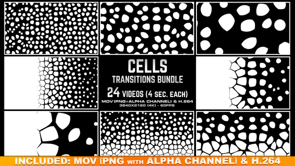 Cells Transitions Bundle 4K