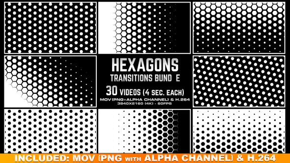 Hexagons Transitions Bundle - 4K