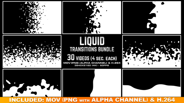 Liquid Transition Bundle - 4K
