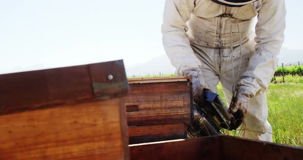 Beekeeper smoking the bee hive