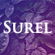 Surel - Shorten URL with Expressjs - CodeCanyon Item for Sale