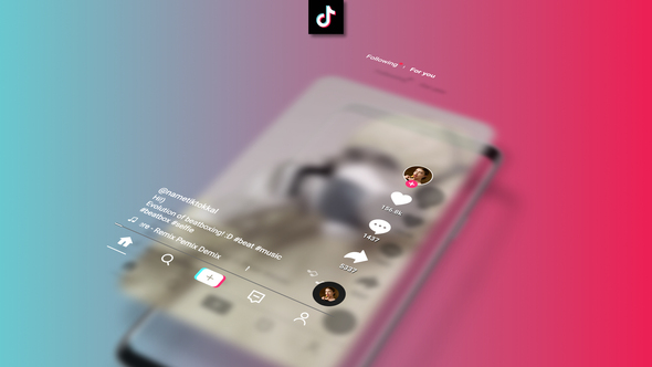 TikTok Interface