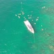 drone shots of groups of people swimming near their boat in crystal clear waters - VideoHive Item for Sale