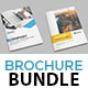 Corporate Brochure Bundle - GraphicRiver Item for Sale
