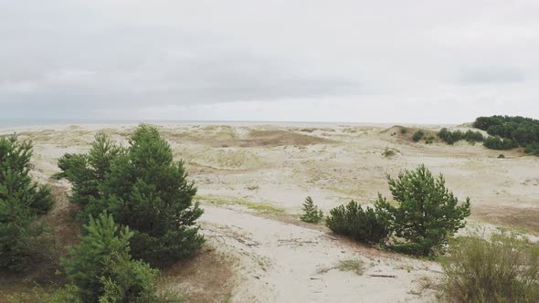 Aerial Panorama View on Curonian Spit. Different Plants on Sandy Dunes. Kaliningrad Oblast, Russia.