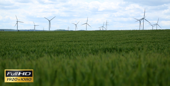 Wind Farm Trough Field (4-Pack)