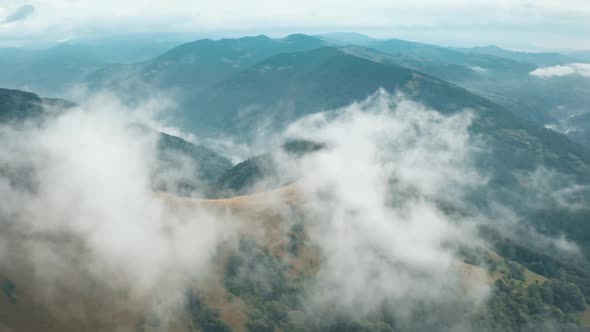 Green Foggy Forest on Mountain Peak Highland Wild Nature Landscape in Rahiv Ukraine