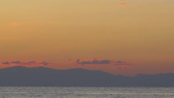 Cinemagraph - Sea Gull in Evening Sky