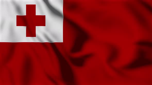 Tonga Flag Animation Loop Background