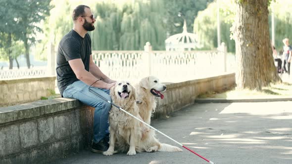 Blind Man with Guide Dogs Sitting on Bench in Park