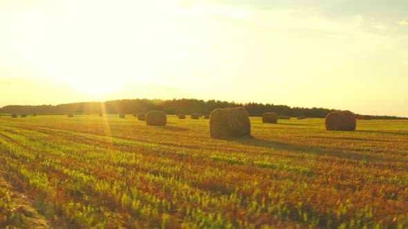 Flight Above Rural Landscape Field Meadow With Hay Bales During Sunny Evening In Late Summer