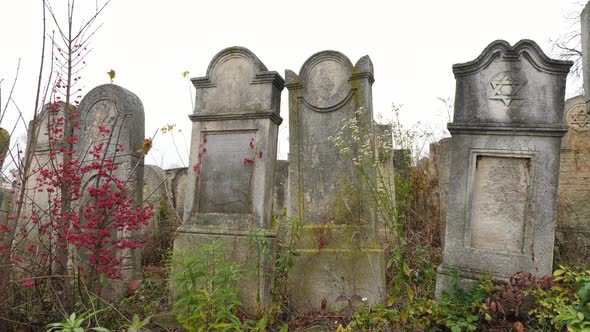 Old Jewish tombstones