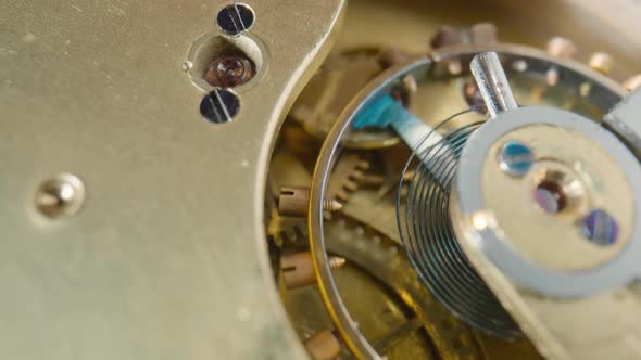 Moving Gold Gears Inside Working Pocket Watch Mechanism