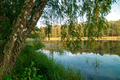 Landscape with a forest lake in summer - PhotoDune Item for Sale
