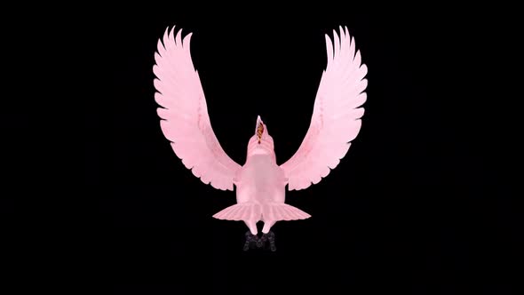 Pink Parrot - Mitchell's Cockatoo - Flying Loop - Back View - Alpha Channel