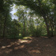 HDR 116 Forest - 3DOcean Item for Sale