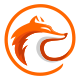 Fox Logo - GraphicRiver Item for Sale