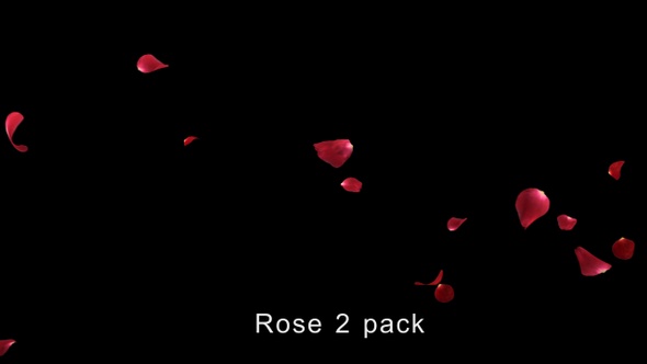 Rose 2 pack 4K