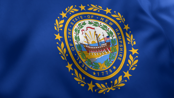 New Hampshire State Flag