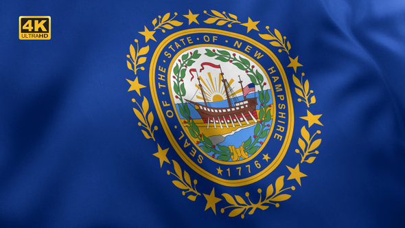 New Hampshire State Flag - 4K