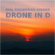 Real Didgeridoo Drone in D 11