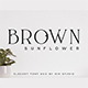 Brown Sunflower - GraphicRiver Item for Sale