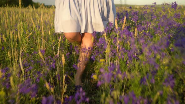 Young Woman Walking in Field Flowers