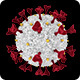 COVID - 19 Novel Coronavirus in Transparent Background - HD - VideoHive Item for Sale