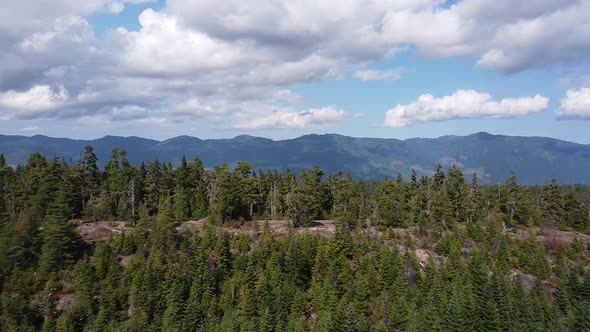 Aerial West Coast Second Growth Logged Forest - Thunder Mountain, Vancouver Island, BC, Canada