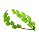 Laurel Wreath - 3DOcean Item for Sale