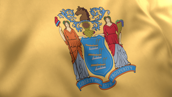 New Jersey State Flag