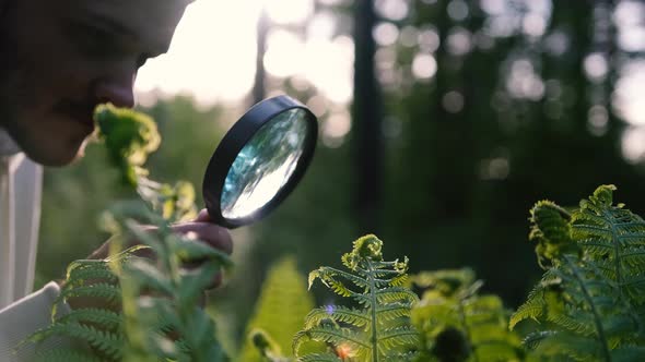 A Mature Man Spends His Time Studying in Nature