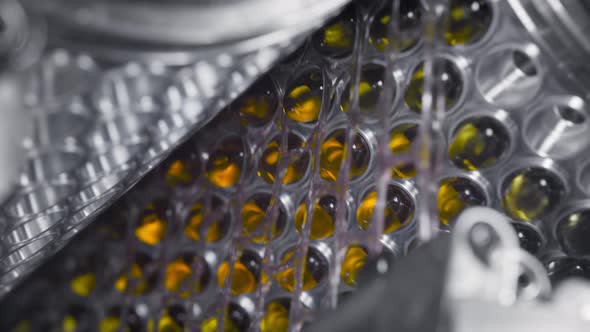 Yellow Gel Capsules in an Automatic Machine