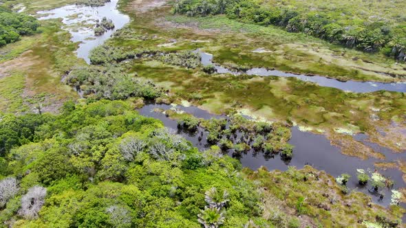 Aerial View of Tropical Rain Forest, Jungle in Brazil