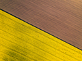 Natural yellow and brown flat background. Drone perspective. - PhotoDune Item for Sale