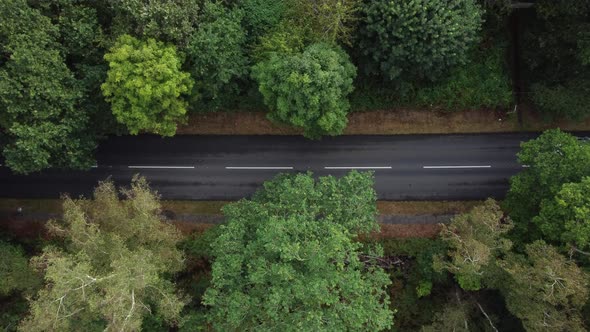 Static aerial birdseye view of cars driving through a densely wooded forest