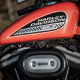 Harley Davidson Startup and Idle - AudioJungle Item for Sale